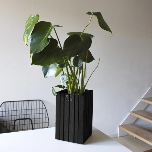 Squarely GrowSMALL Planter - Gessato Design Store