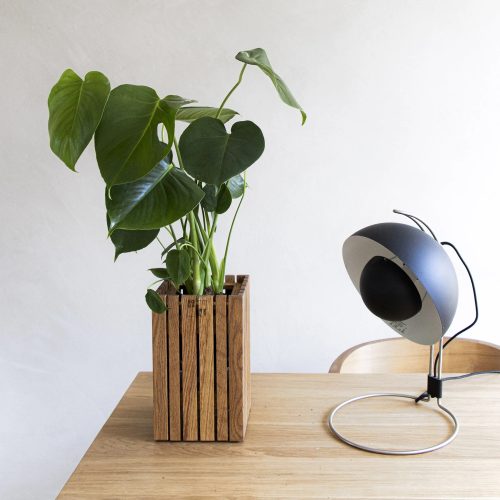 Squarely GrowSMALL Planter - Gessato Design Store