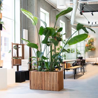 Squarely GrowLARGE Planter - Gessato Design Store