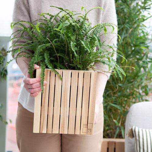 Squarely GrowON Planter - Gessato Design Store