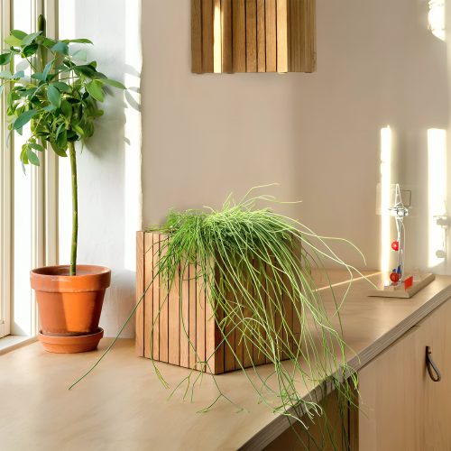 Squarely GrowON Planter - Gessato Design Store