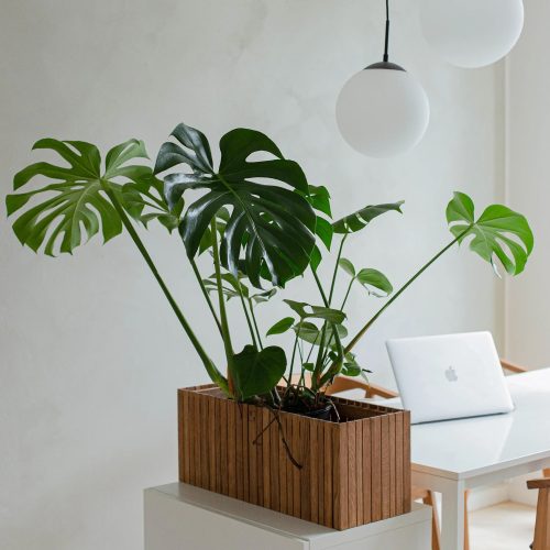 Squarely GrowWIDE Planter - Gessato Design Store