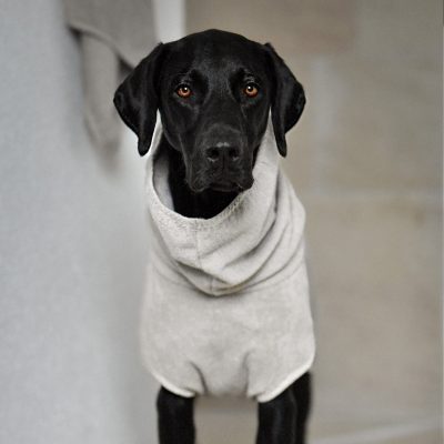 Bagno - Dog Bathrobe, Beige - Gessato Design Store