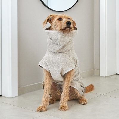 Bagno - Dog Bathrobe, Beige - Gessato Design Store