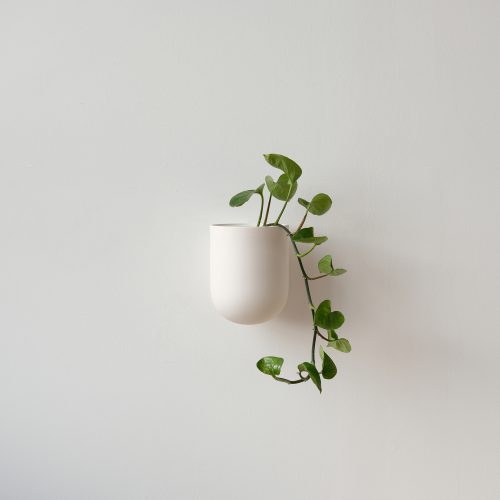 Bender, Ceramic Wall Planter - Gessato Design Store