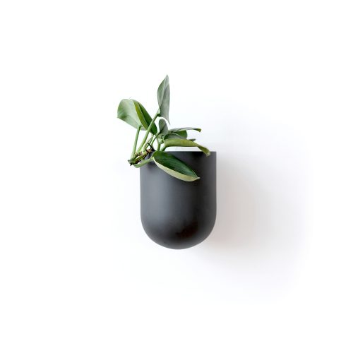 Bender, Ceramic Wall Planter - Gessato Design Store