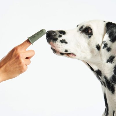 Dente - Dog Dental Gel - Gessato Design Store