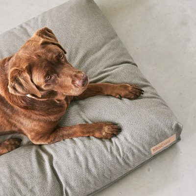 Mare Dog Cushion - Gessato Design Store