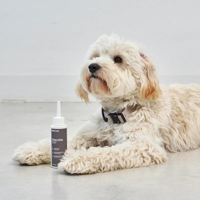 Orecchio - Ear Cleanser - Gessato Design Store