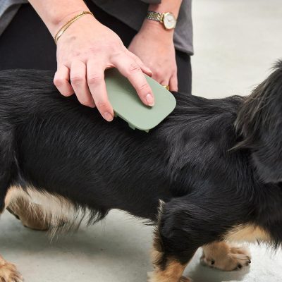 Pelo - Dog Brush - Gessato Design Store