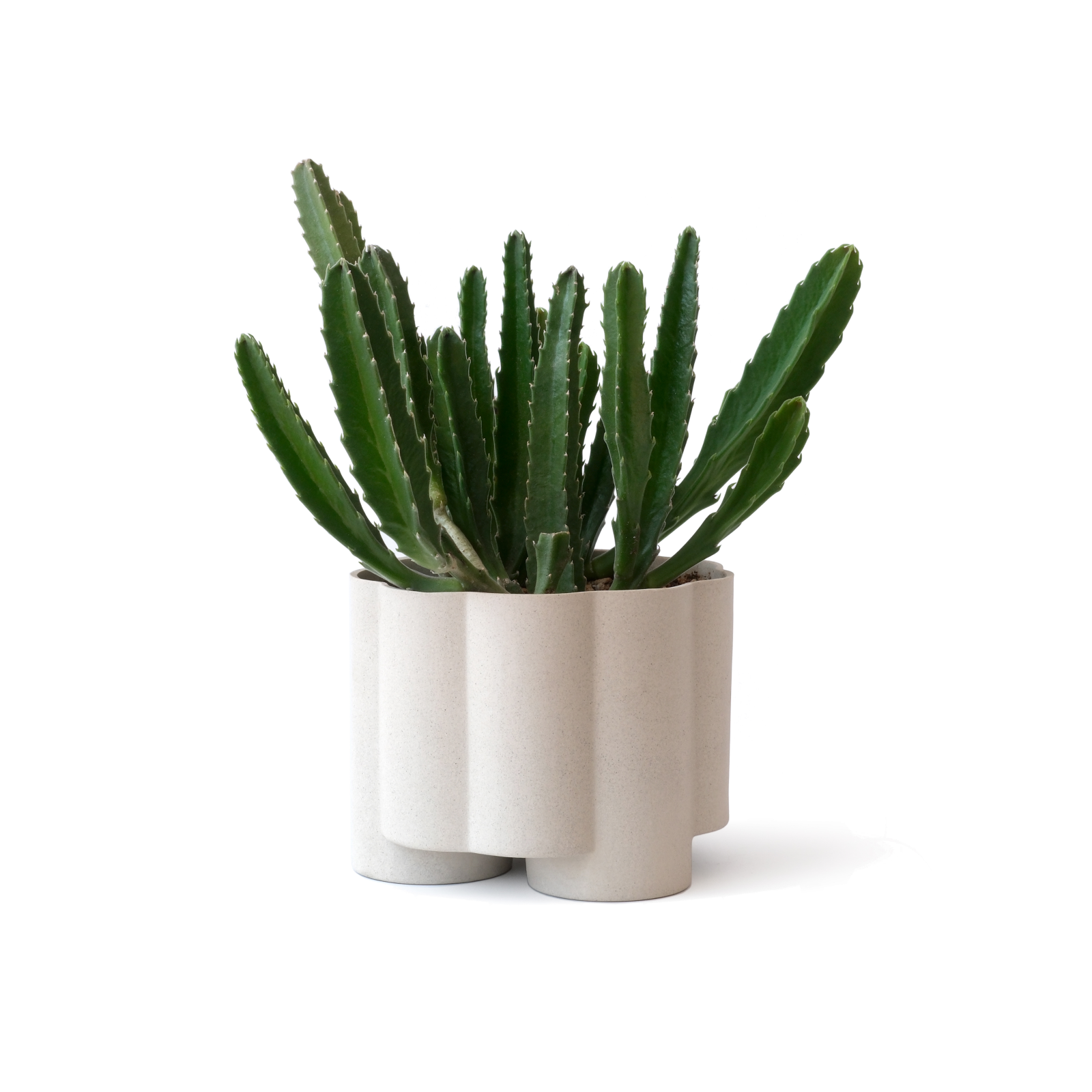 Pillar Planter - Gessato Design Store