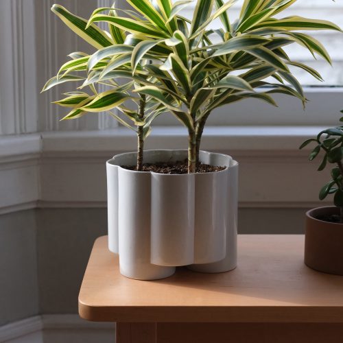 Pillar Planter - Gessato Design Store