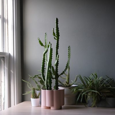 Pillar Planter - Gessato Design Store