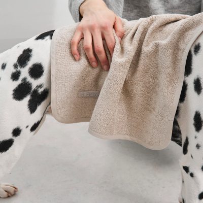 Secco - Terry Dog Dry Towel - Gessato Design Store