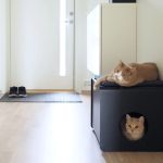 Sito - Cat Litter Box - Gessato Design Store