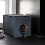 Stella - Seating Cushion - Gessato Design Store