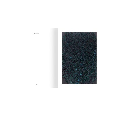 Damien Hirst: Reverence, Revelation, Devotion - Gessato Design Store