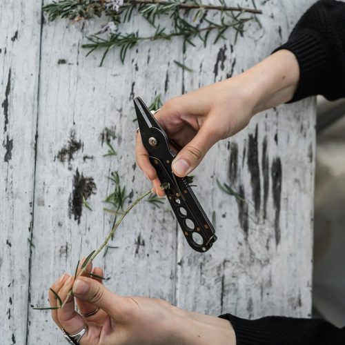 Herb Harvest + Strip Tool - Gessato Design Store