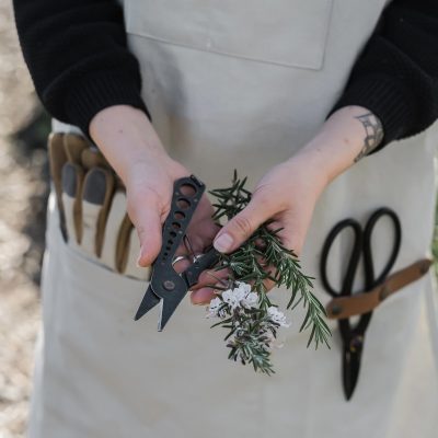 Herb Harvest + Strip Tool - Gessato Design Store