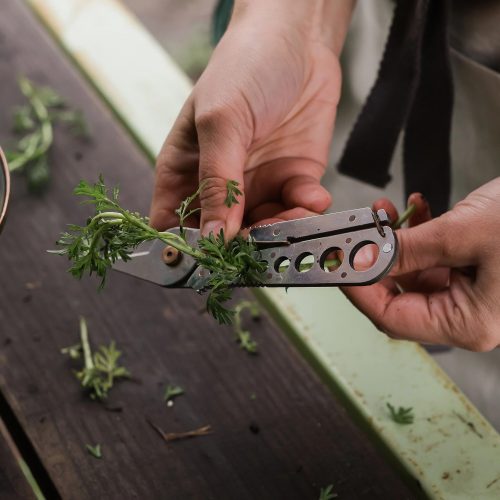 Herb Harvest + Strip Tool - Gessato Design Store