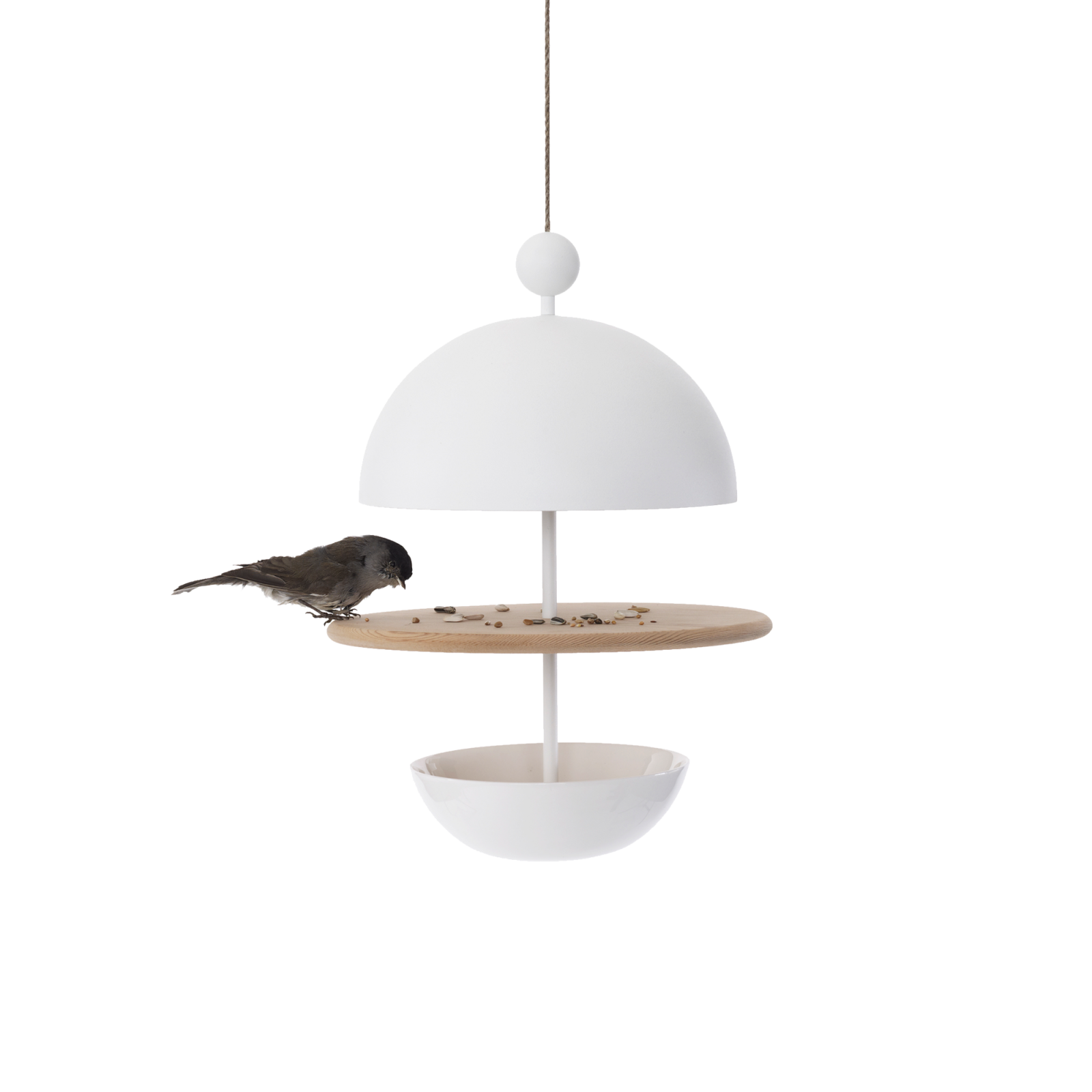 Dish of Desire Birdfeeder - Gessato Design Store