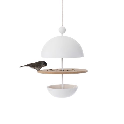 Dish of Desire Birdfeeder - Gessato Design Store