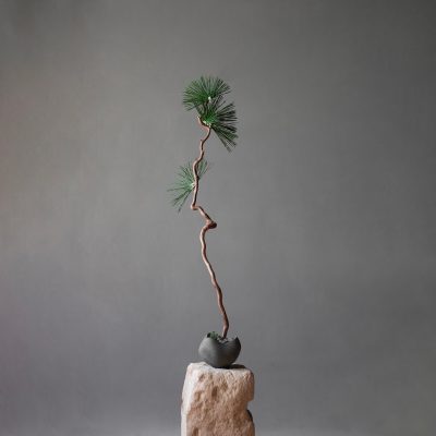 Curve Bowl - Gessato Design Store