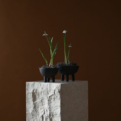 Duck Bowl - Gessato Design Store
