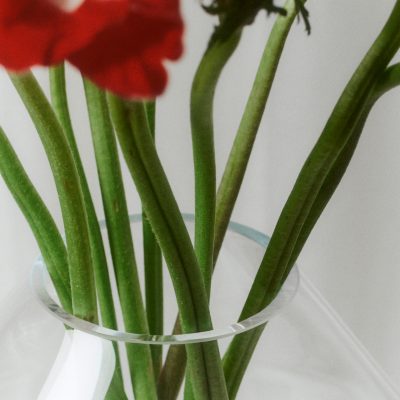 Hydro Vase - Gessato Design Store