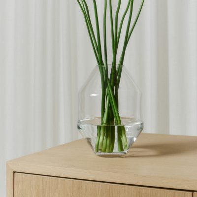 Hydro Vase - Gessato Design Store