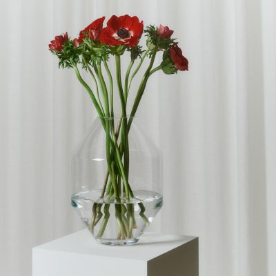 Hydro Vase - Gessato Design Store