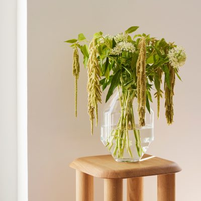 Hydro Vase - Gessato Design Store