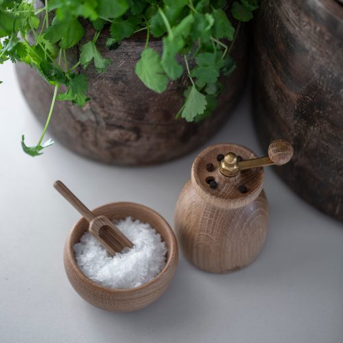 Kay Bojesen Menageri Salt Cellar with Spoon - Gessato Design Store