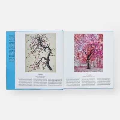 Tree: Exploring the Arboreal World - Gessato Design Store