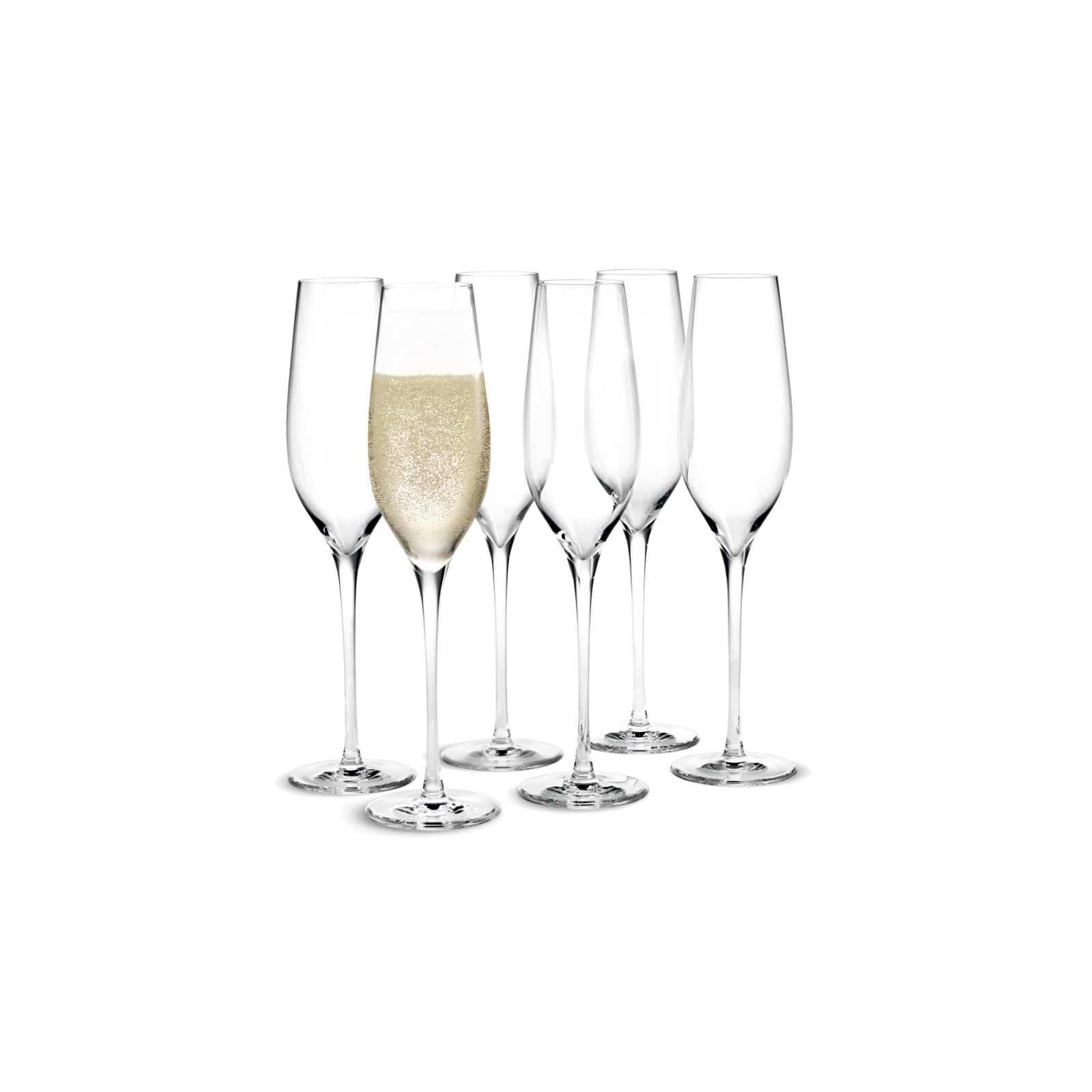 Cabernet Champagne Glasses, Set of 6 - Gessato Design Store