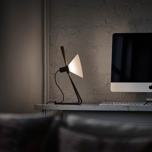 Le Klint 356 Spot Wall/Table Lamp - Gessato Design Store