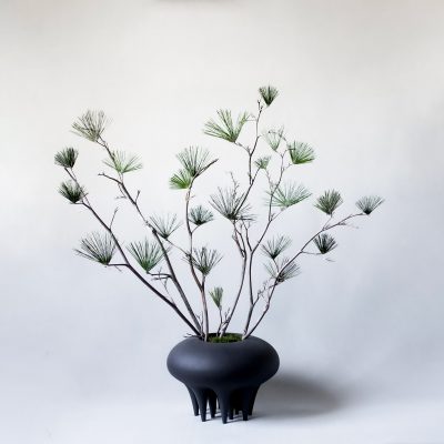 Medusa Vase - Gessato Design Store