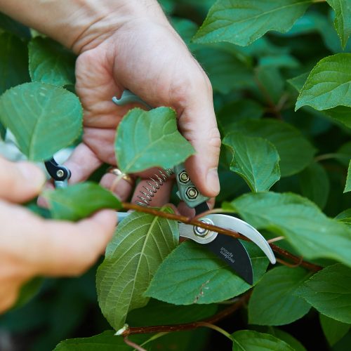 Gardening Shears & Pruners - Gessato Design Store