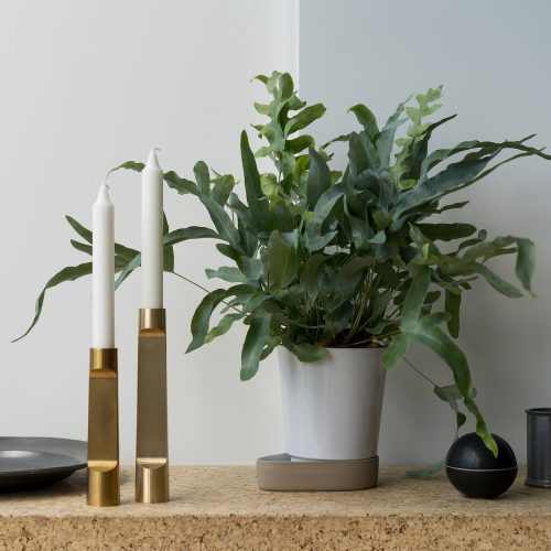 Sip Plant Pot - Gessato Design Store