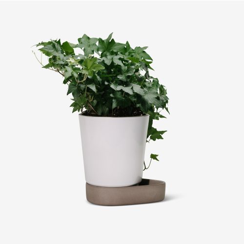 Sip Plant Pot - Gessato Design Store