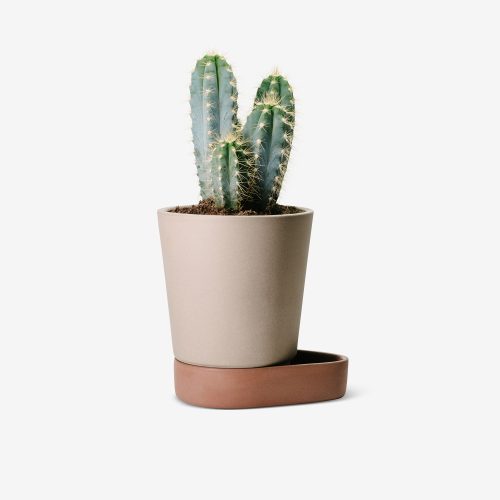 Sip Plant Pot - Gessato Design Store