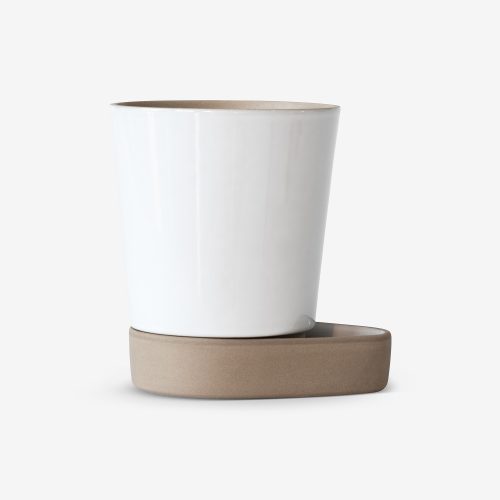 Sip Plant Pot - Gessato Design Store