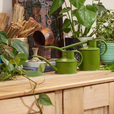 The Fazeley Flow Fern Green - One Pint - Gessato Design Store