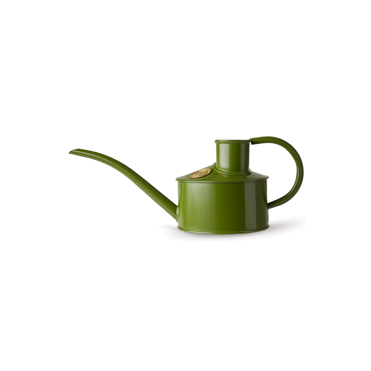 The Fazeley Flow Fern Green – One Pint