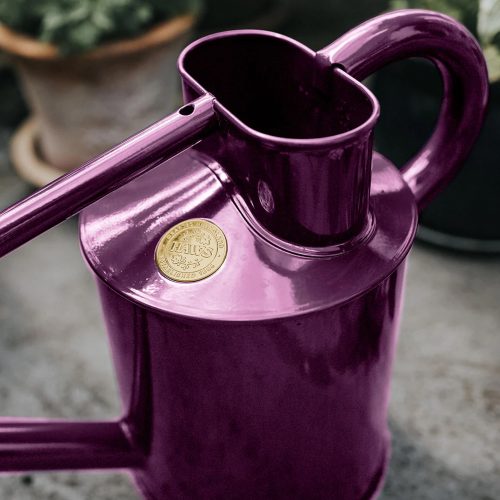 The Warley Fall, Two Gallon Galvanized, Purple Royale - Gessato Design Store