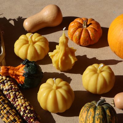 Carnival Squash Candle - Gessato Design Store