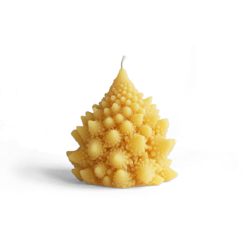 Romanesco Beeswax Candle - Gessato Design Store