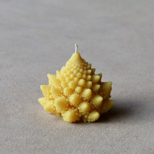 Romanesco Beeswax Candle - Gessato Design Store