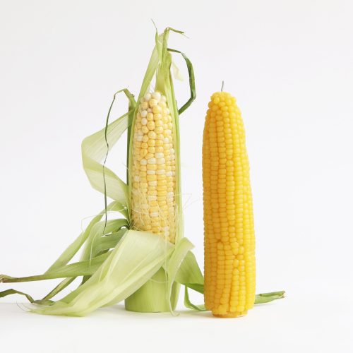 Sweet Corn Candle - Gessato Design Store