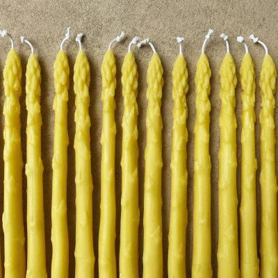Asparagus Tapers, Set of 2 - Gessato Design Store
